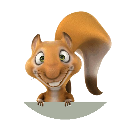 Carpe Diem Eichhörnchen